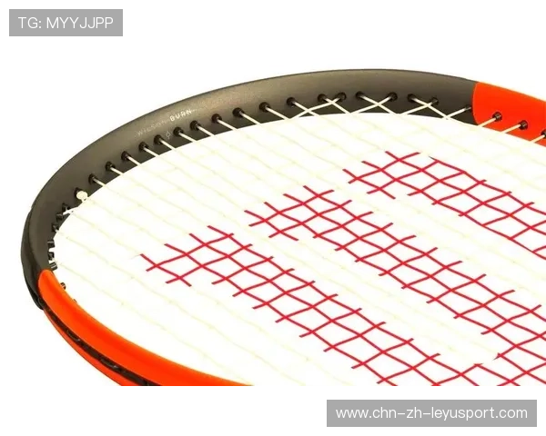 球拍科技升级,选手击球更具破坏力,球拍啥意思 球拍科技升级,选手击球更具破坏力,球拍啥意思