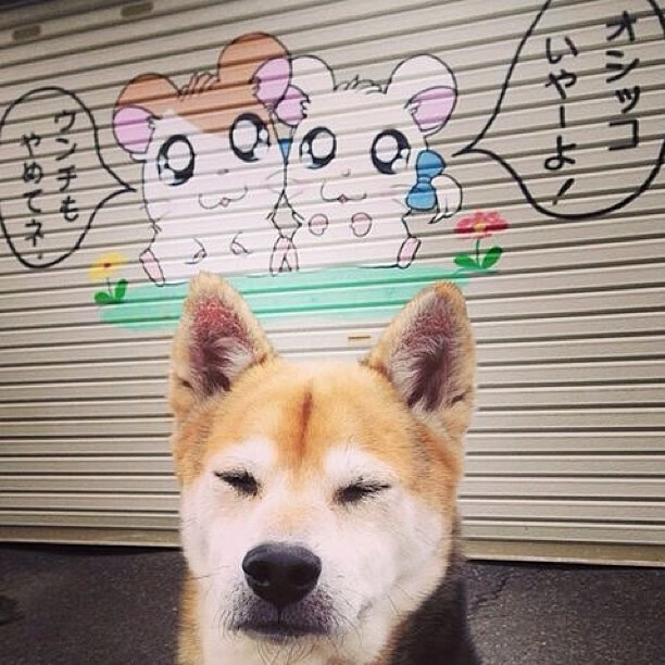 乐鱼体育在线下载-2024年国际乒联混合团体世界杯:埃及队展现不屈斗志,乒乓男团vs埃及